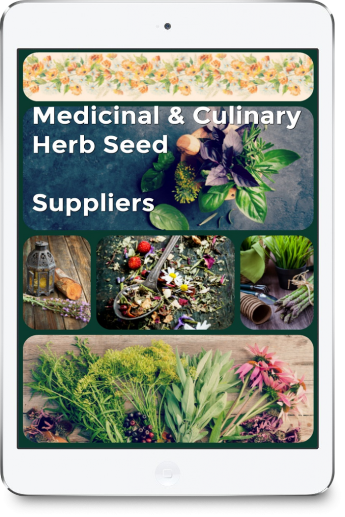 Medicinal & Culinary Herb Seed Suppliers