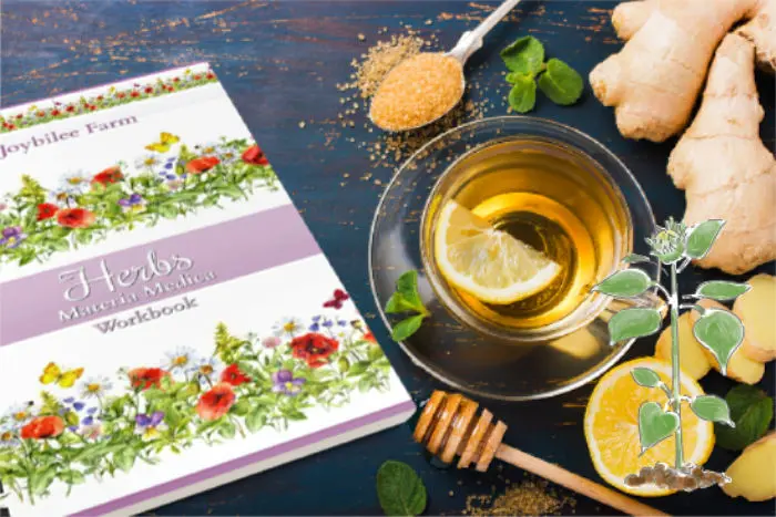 Herbs Materia Medica Notebook