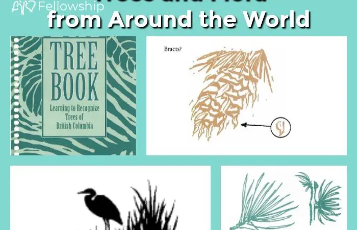 Field Guides to Trees and Flora from Around the World