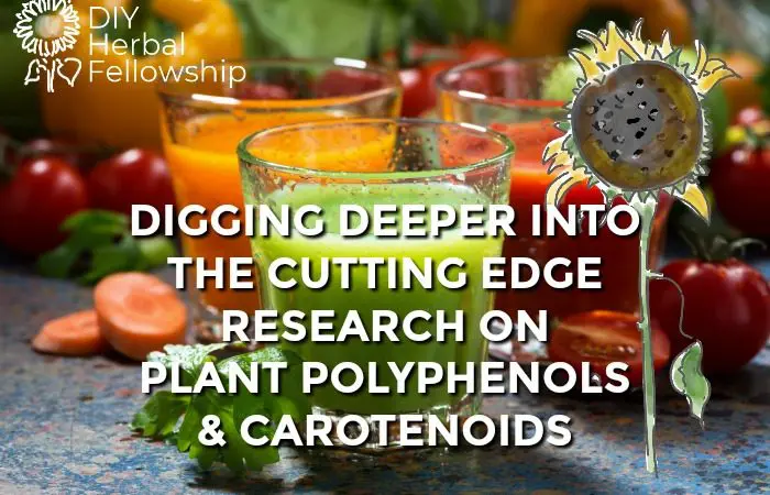 Digging Deeper into the Cutting Edge Research on Plant Polyphenols and Carotenoids