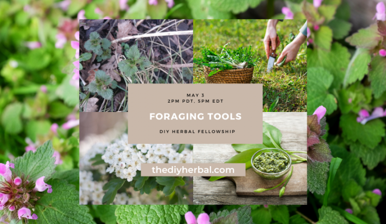 Spring Foraging Challenge: Your Foraging Tool Kit