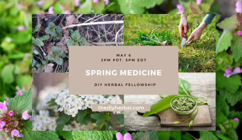 Foraging for Medicinal Herbs in Spring