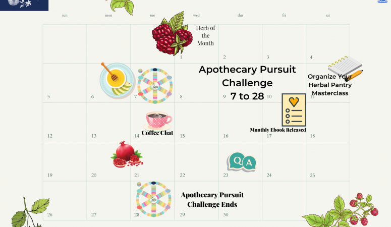 September Calendar for DIY Herbal Fellowship Members
