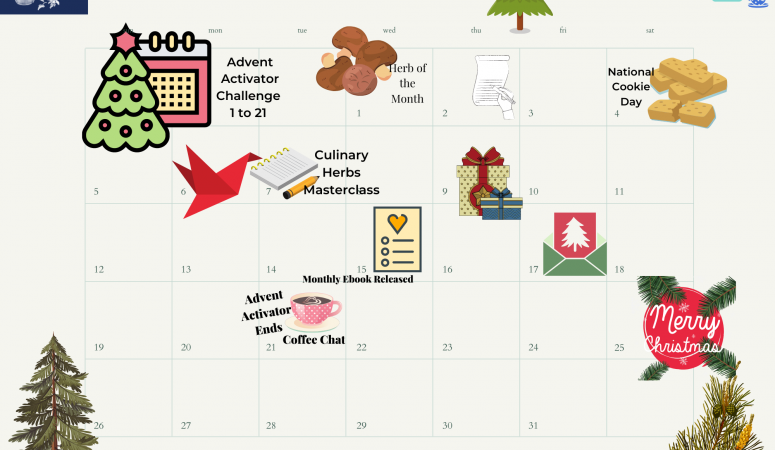 December Calendar – DIY Herbal Fellowship Members