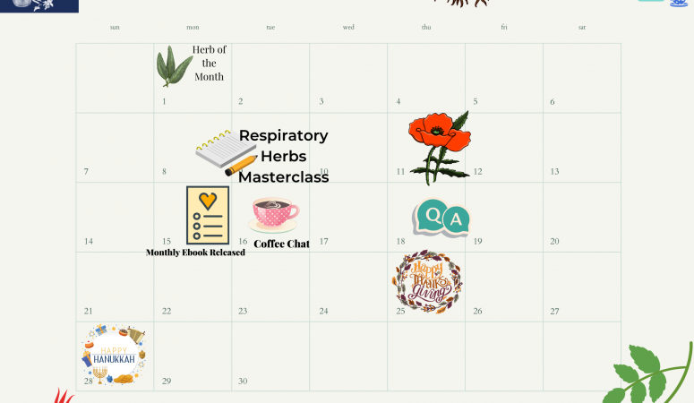 November Calendar for DIY Herbal Fellowship Members