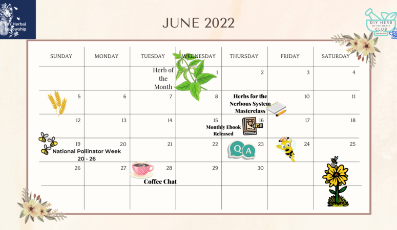 June 2022 – DIY Herbal Fellowship Calendar