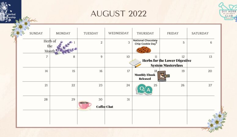 August 2022 — DIY Herbal Fellowship Calendar