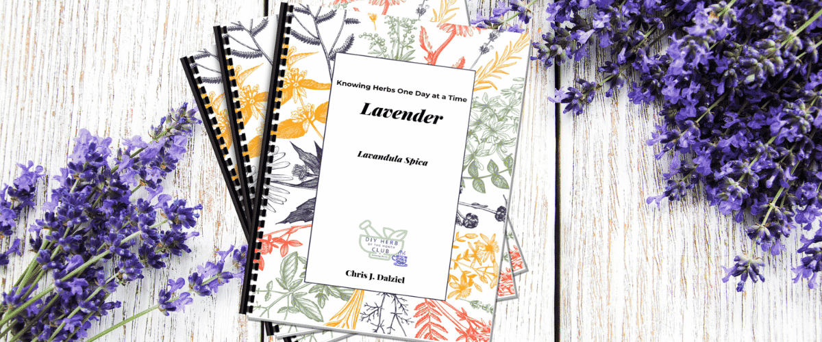 Lavender_Slider