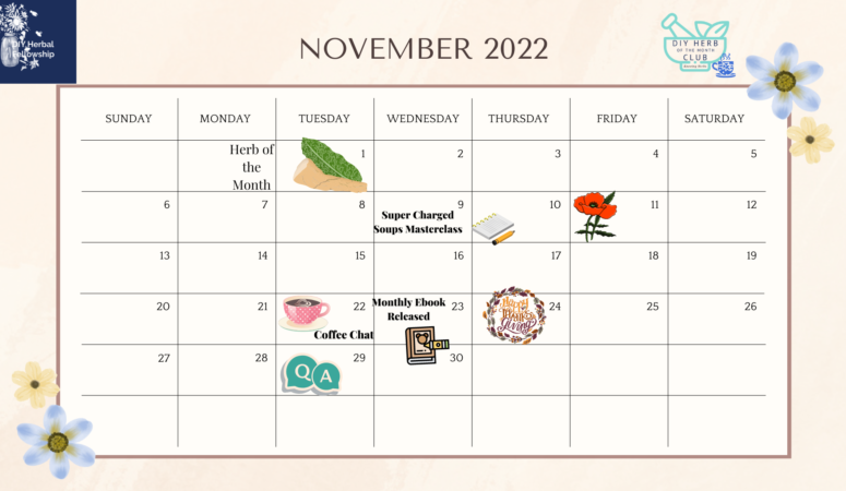 November Calendar 2022 – DIY Herbal Fellowship