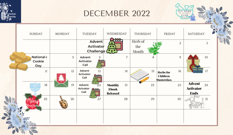 December Calendar 2022 – DIY Herbal Fellowship