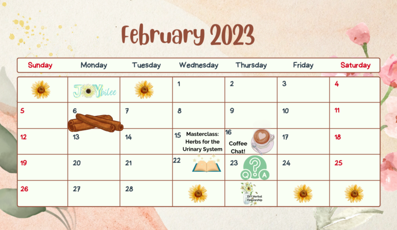 The DIY Herbal Fellowship February 2023 Calendar
