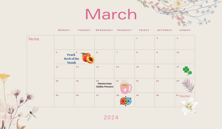 March Calendar for DIY Herbal Fellowship Members