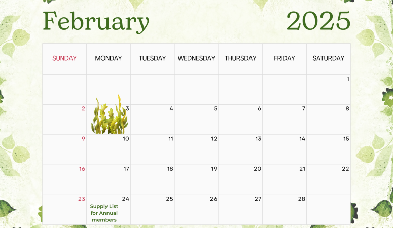 Herb of the Month February Calendar 2025