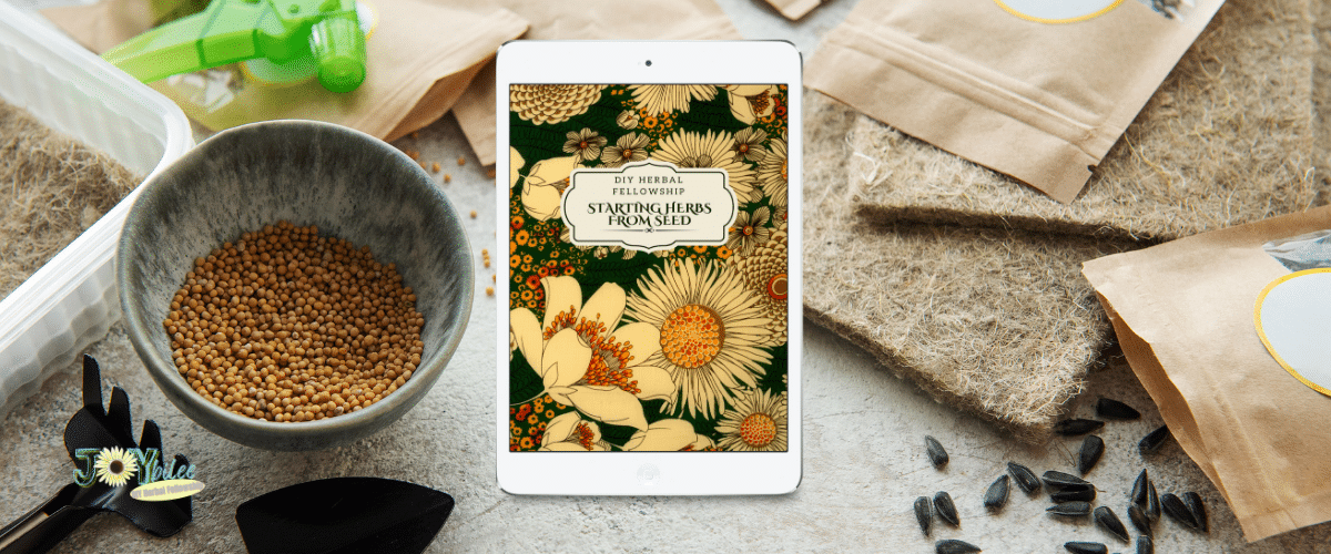 March_Masterclass_banner