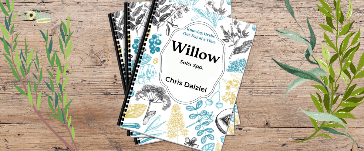 March_hotm_banner_Willow