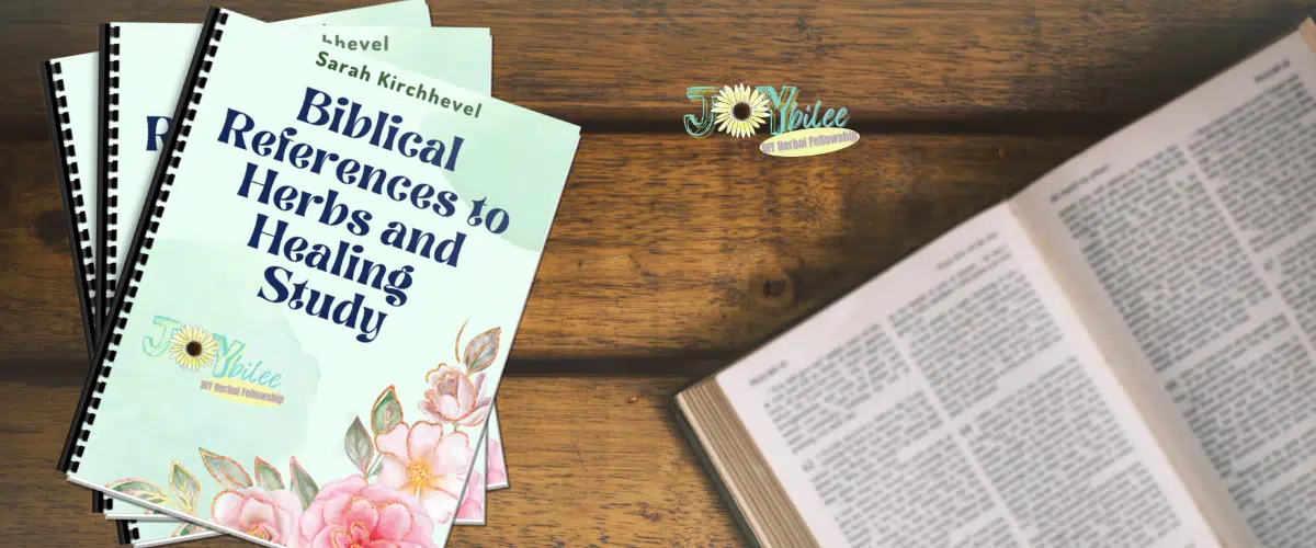 workbook banner july
