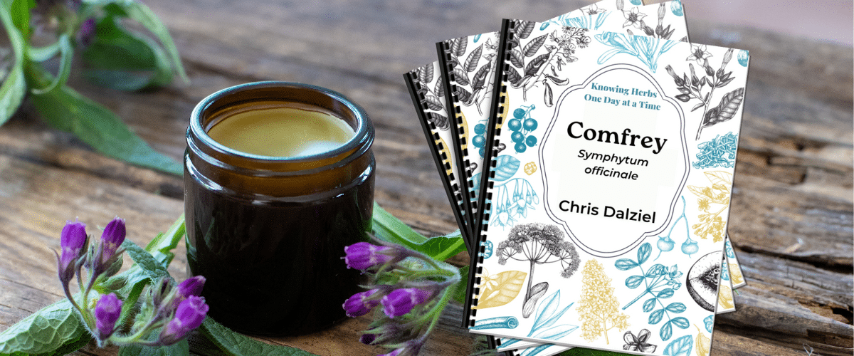 HOTM Banner November