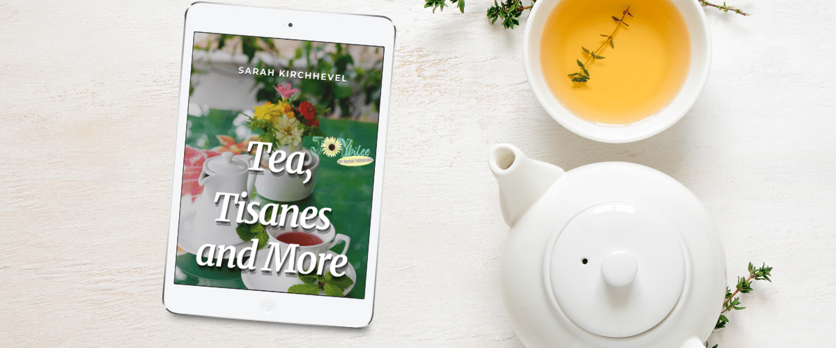 Masterclass Banner November