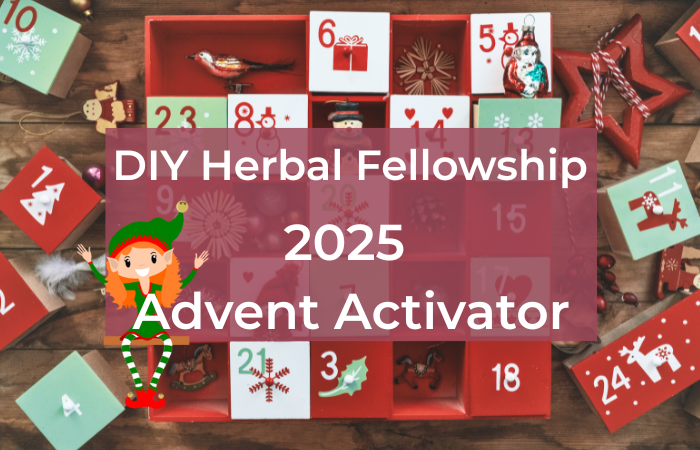 2025 Advent Activator