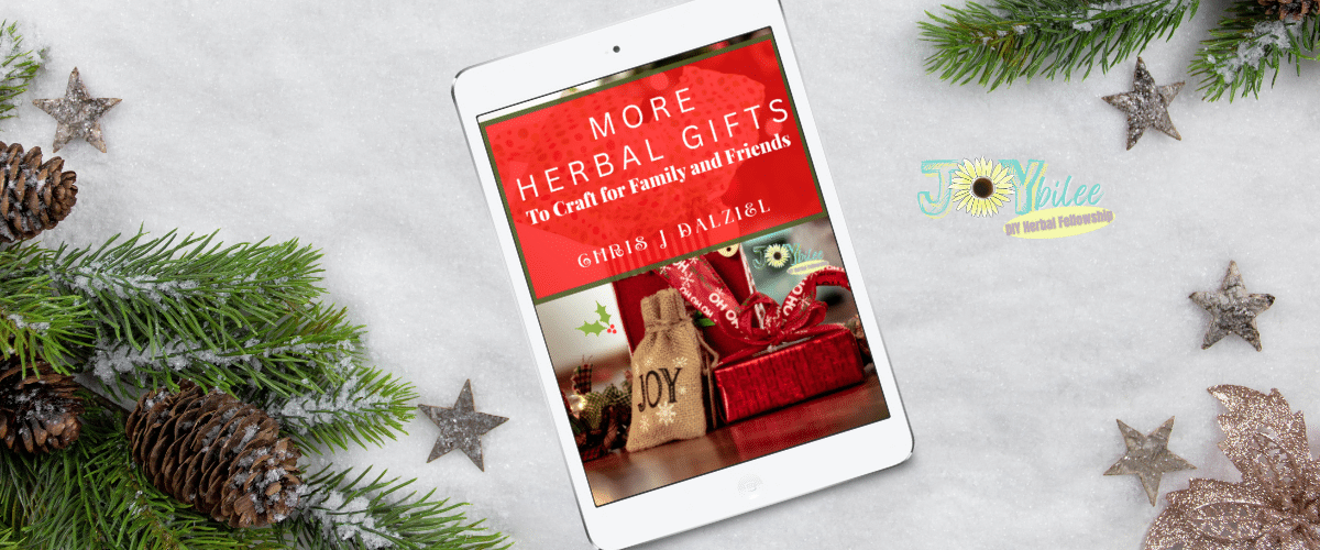 Banner Masterclass Dec