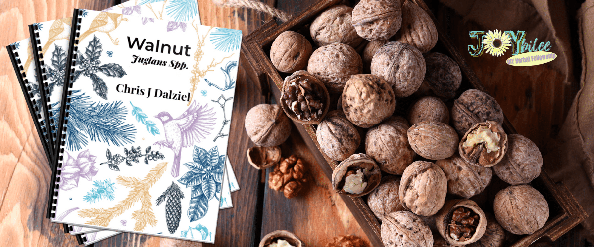 HOTM December Banner