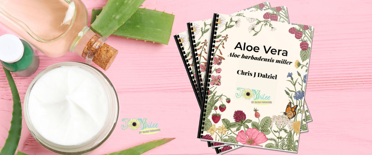 Banner HOTM January 2026