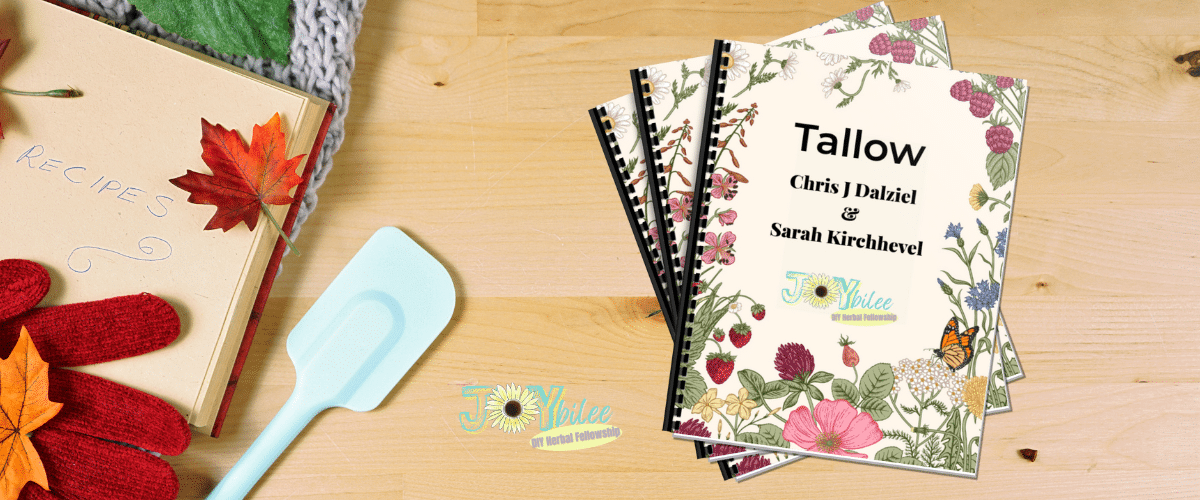 Banner HOTM February 2026