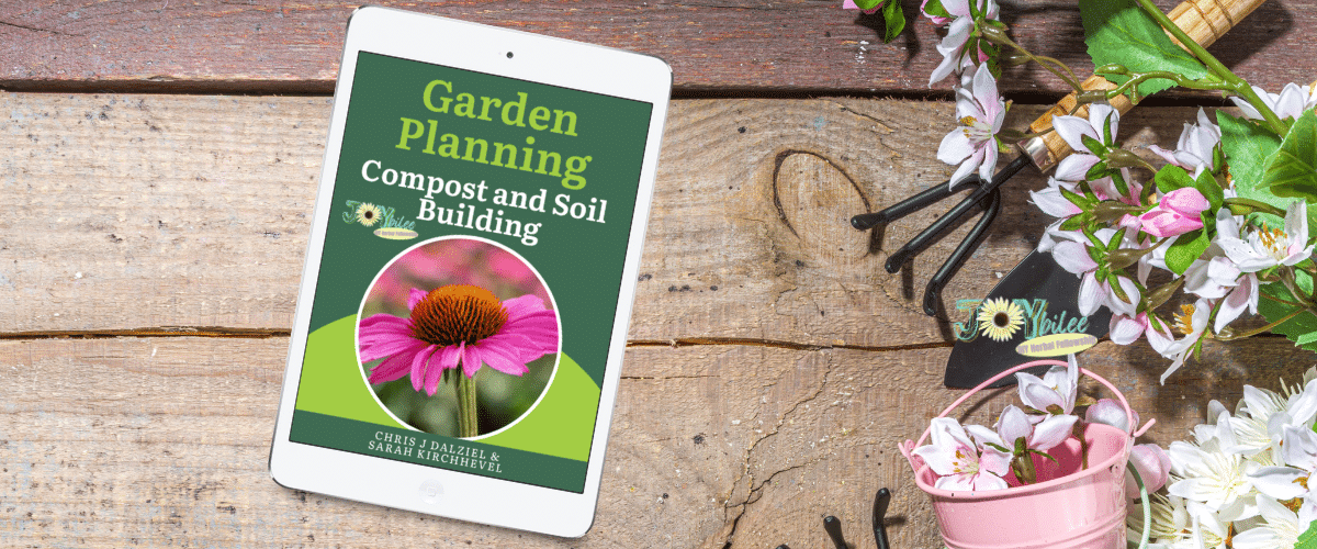 Masterclass Banner Feburuary 2026 2