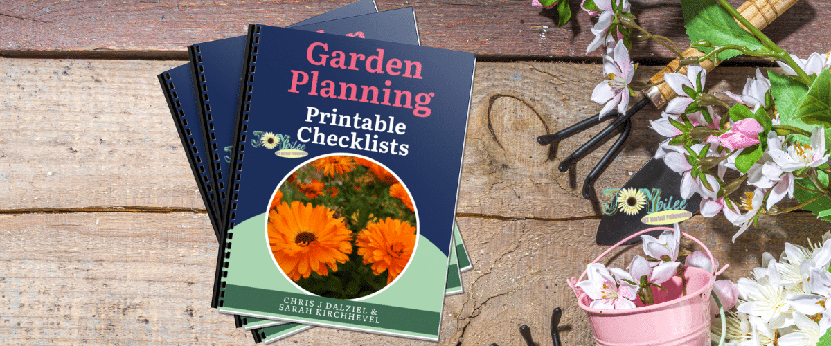 Masterclass Banner Feburuary 2026