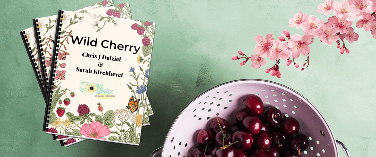 March HOTM Banner 2026