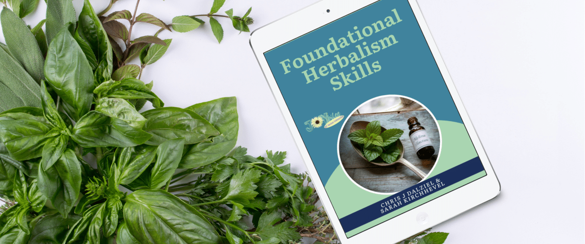 Masterclass Banner March 2026