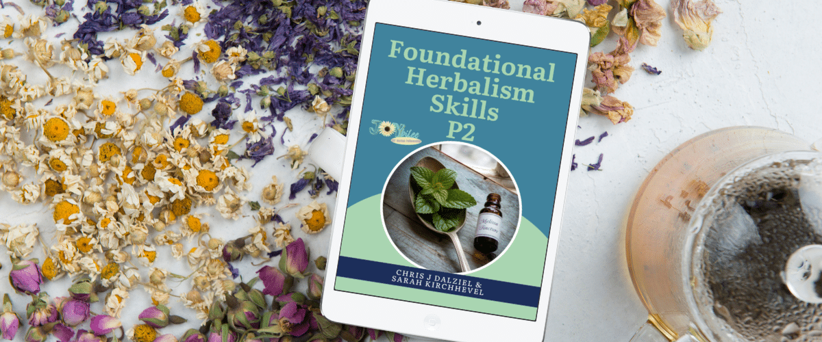 Banner Masterclass April